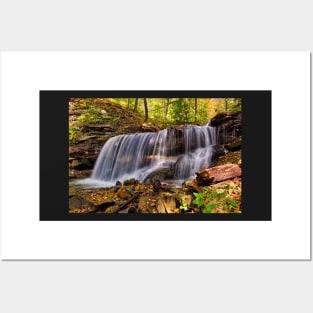 Forest waterfall Posters and Art